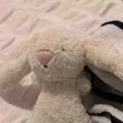 Rの画像