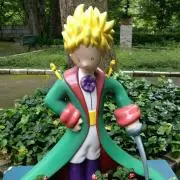 バオバブの画像