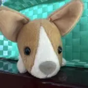 ありんこ工房の画像