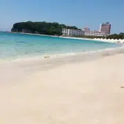 シュンの画像