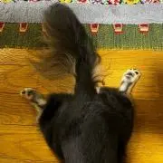 ユウ