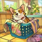 みやこの画像