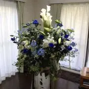 ロッコの画像