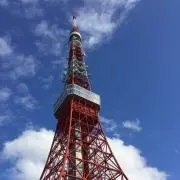 Mayuの画像