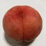 ももの画像