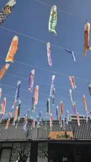 七海の画像