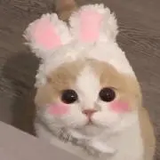 anan