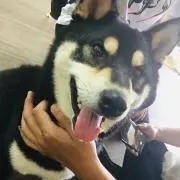 アキト