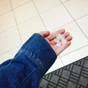モナカの画像