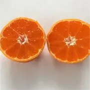 かなちゃんの画像