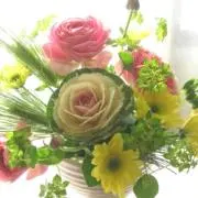Zoes@の画像