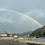 椿(プロフ必見)