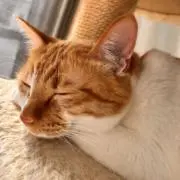 ★☆まっサエ☆★