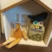 hiroちゃんの画像