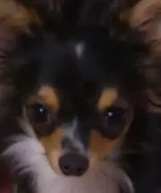 サリーズルームの画像