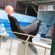 まーちゃんの画像