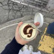 ragdollの画像