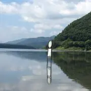 ぱんだ