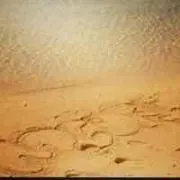 Mido111の画像