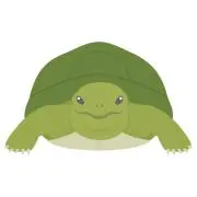 砂の画像