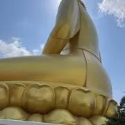 MAXの画像