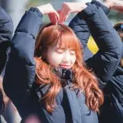 きゃと