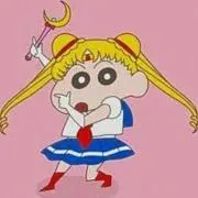 ぽんたの画像