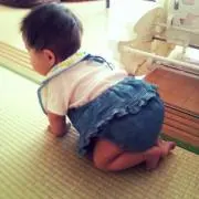 てなーの画像