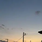 マオ