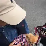 だへちん　おまとめ割します！の画像
