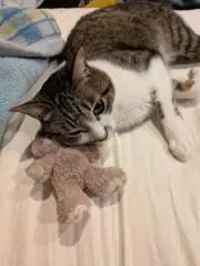 EPOEPO✩CATの画像