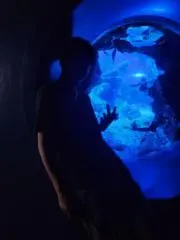 ta