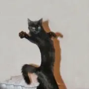 犬かも