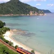 totoroの画像