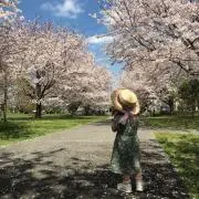 ayino_