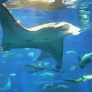 プロフ見てから　最悪運営 ろくでなしの画像