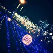 ☆ｙｕｉ☆の画像