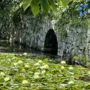 ao Bの画像