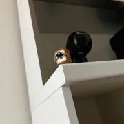 ぱんぱぱん