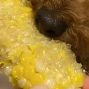ROの画像