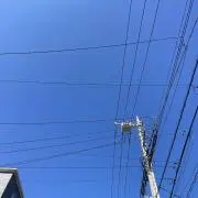 夏の画像