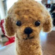 きぱーちの画像