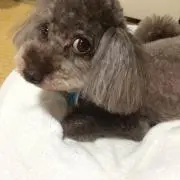 わた0221の画像