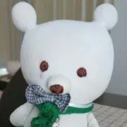 ぽろの画像