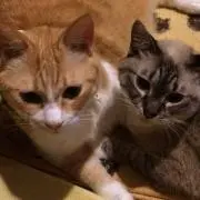 momo☆プロフ必読☆の画像