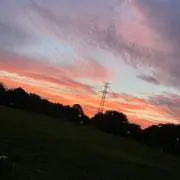 トミー