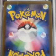 タクの画像