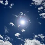 ちびひよ　即購入可無言OKの画像