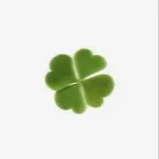 ☘️の画像