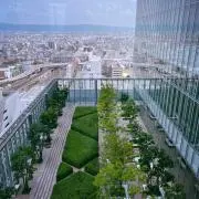 haruoの画像